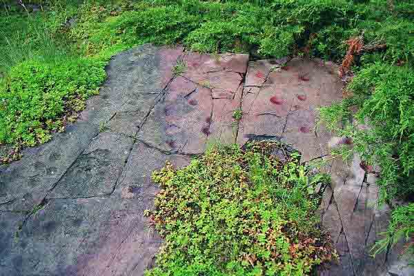 Gaustad rock carving