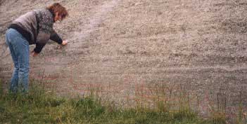 Rock carving