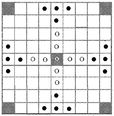 Hnefatafl oppsett