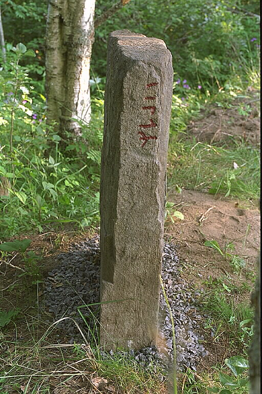 Runic inscription