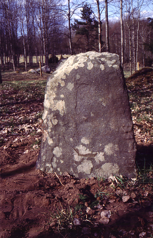 Runic inscription